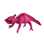 Caméléon rose 1