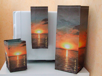 présentation sacs designs